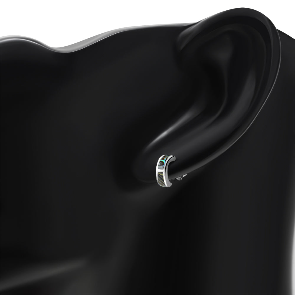 Abalone Shell Stud Silver Earrings