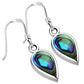 Abalone Shell Drop Sterling Silver Earrings