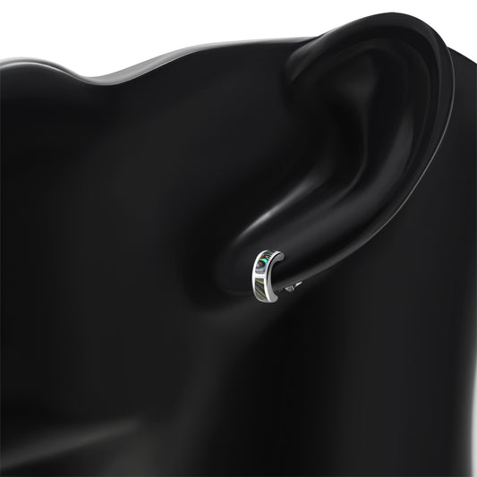 Abalone Shell Stud Silver Earrings